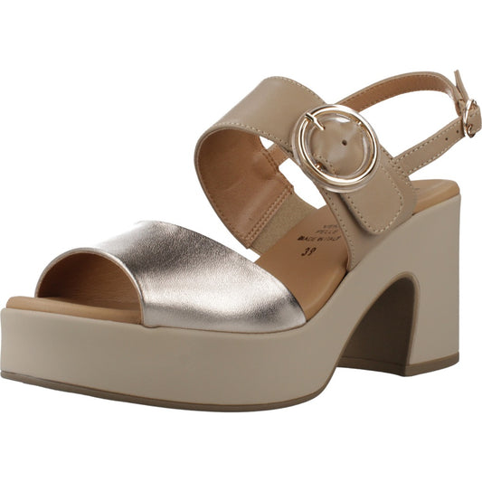 REPO R en color CPRCML  (1)