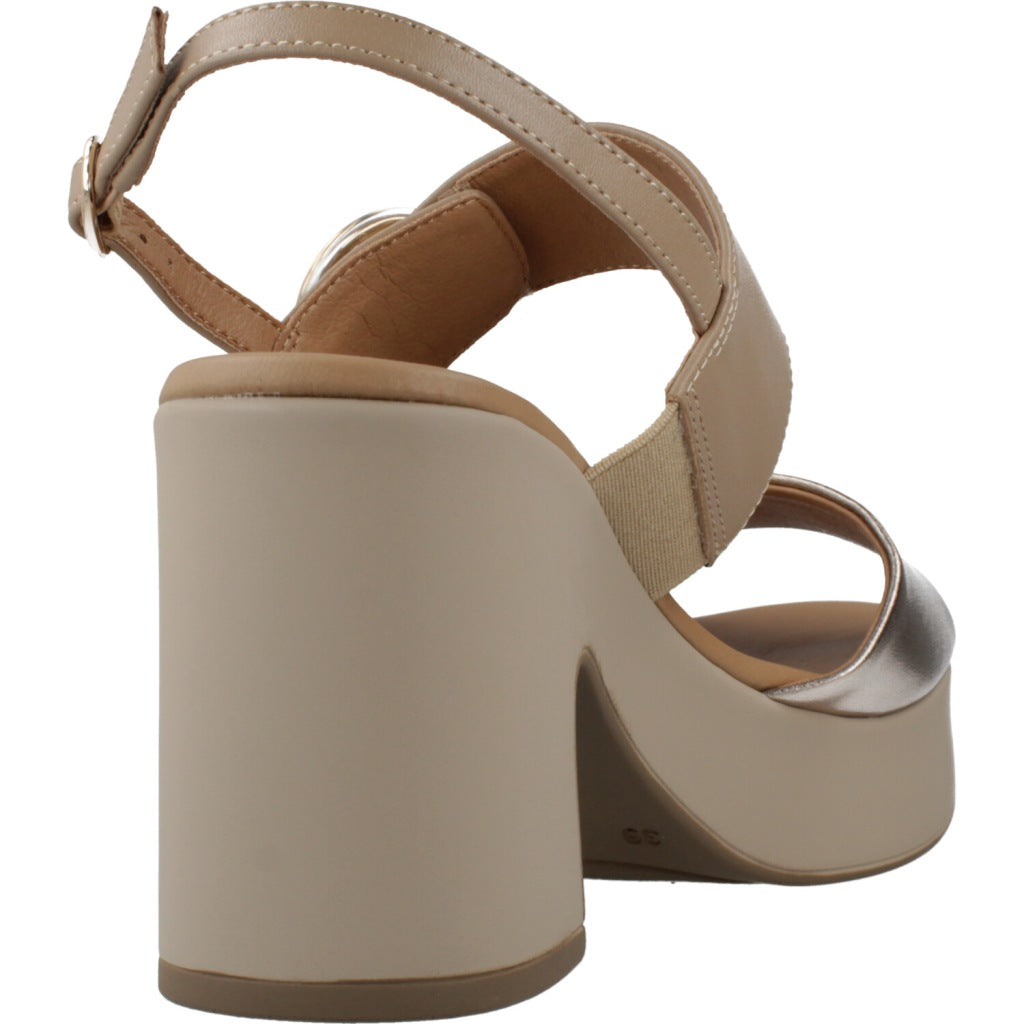 REPO R en color CPRCML  (3)