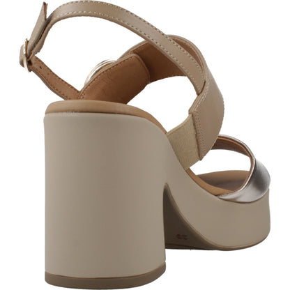 REPO R en color CPRCML  (3)