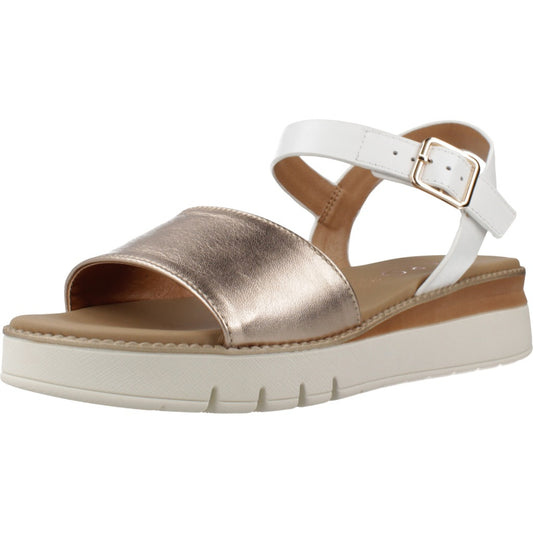 REPO SR  en color CPRBNC  (1)