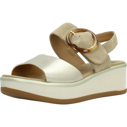 REPO R en color CPRTPE  (1)