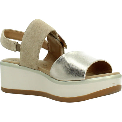 REPO R en color CPRTPE  (5)