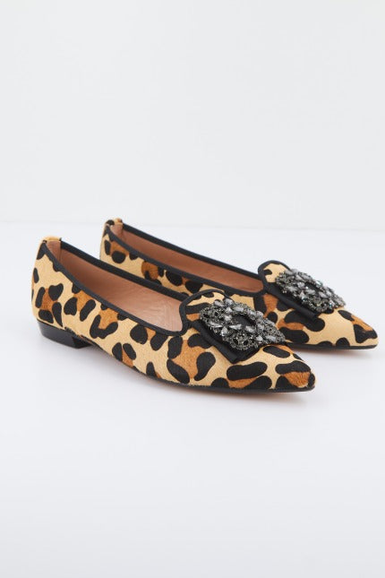 MIUXA ZIUXA  en color ANMLPRN  (1)