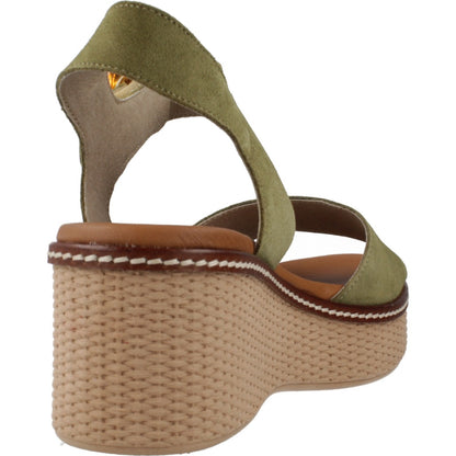 DORKING D CA  en color BOSCO  (3)