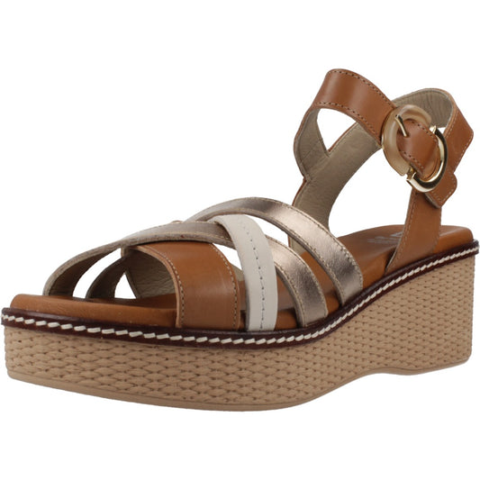 DORKING BY FLUCHOS DTILTI en color CROCVA  (1)