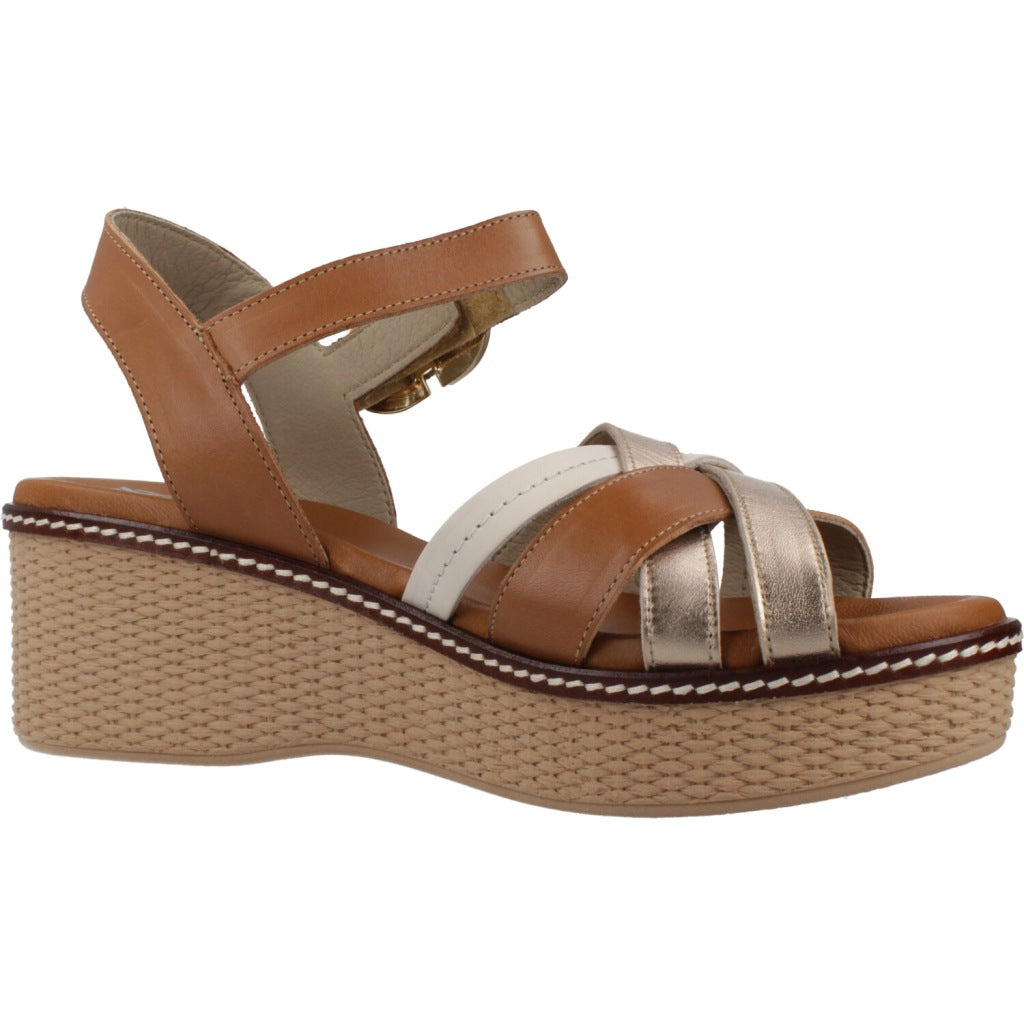 DORKING BY FLUCHOS DTILTI en color CROCVA  (5)