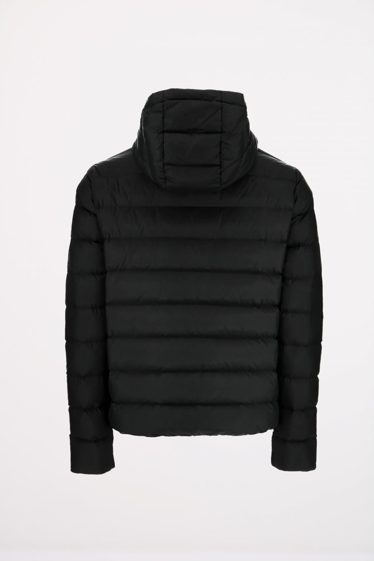 JOTT JORGE en color   (3)