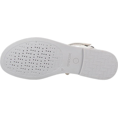 GEOX JI BC en color C  (9)