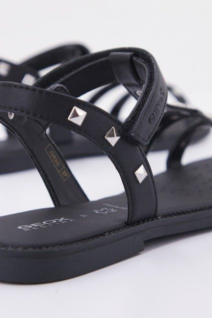 GEOX JI BC en color C  (3)