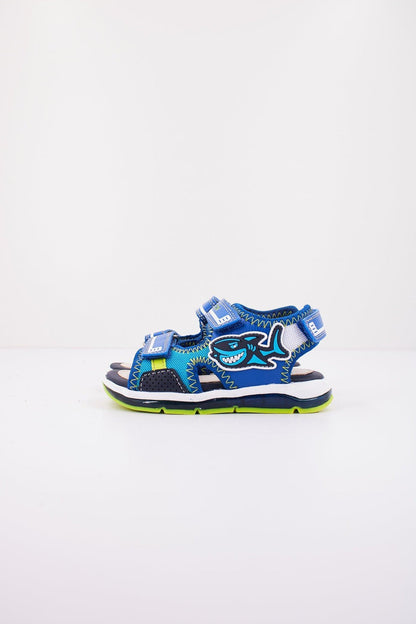 GEOX BGA  en color CKS  (1)
