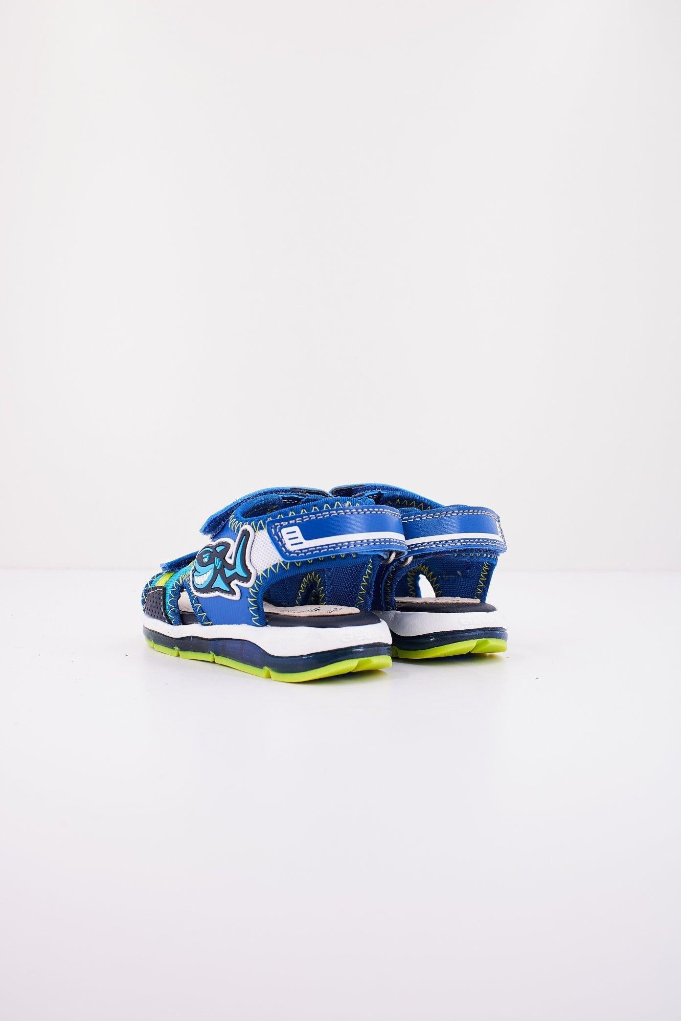 GEOX BGA  en color CKS  (3)