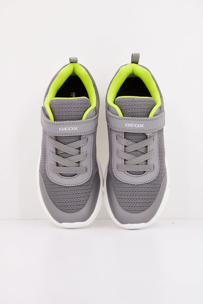 GEOX J ARIL en color C  (4)