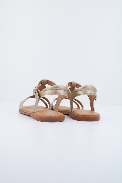 GEOX J S.KARLY G. H en color C  (3)