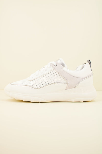 GEOX D ALLENIEE en color CRZ  (1)