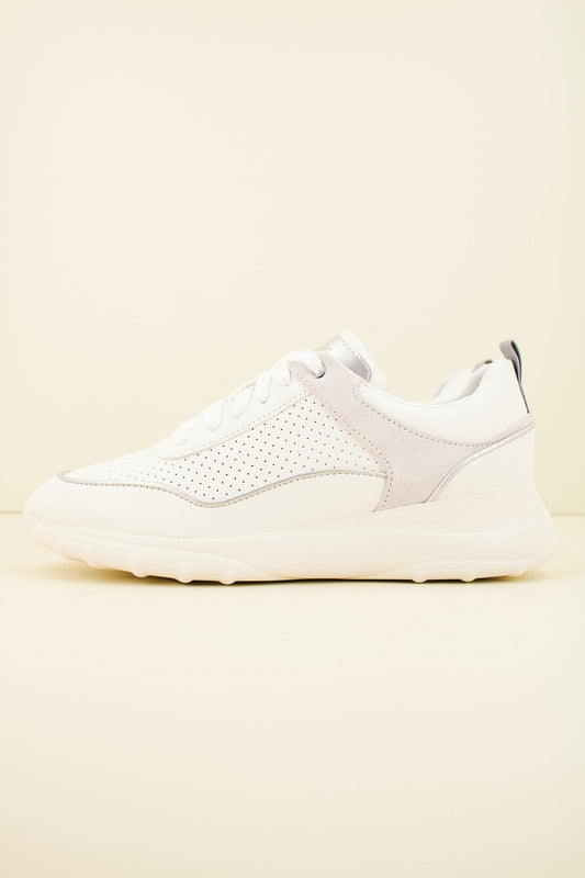 GEOX D ALLENIEE en color CRZ  (1)