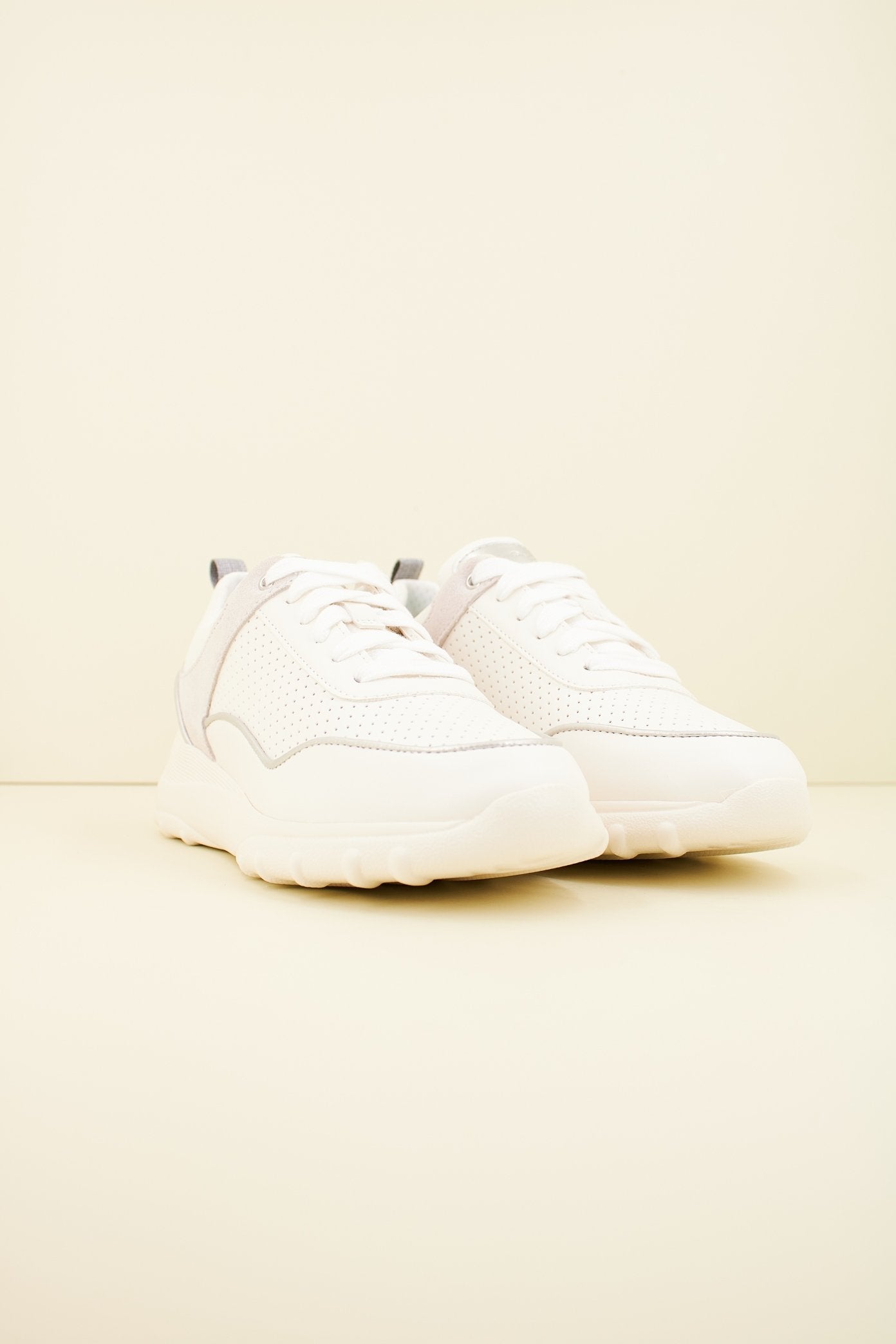 GEOX D ALLENIEE en color CRZ  (2)