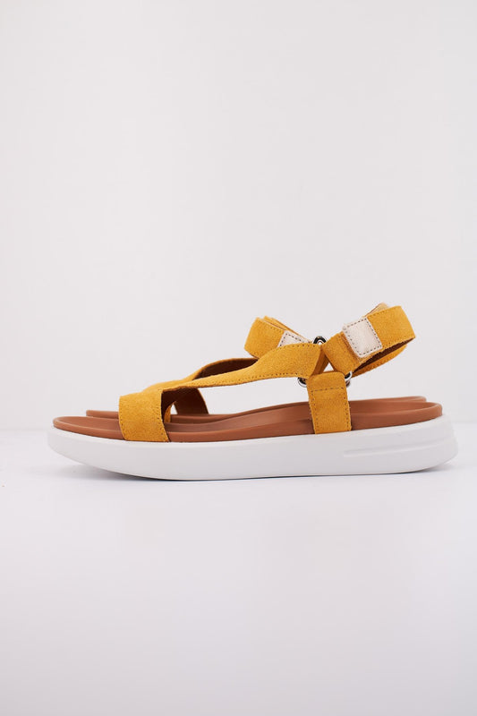 GEOX D XAND S en color CVL  (1)