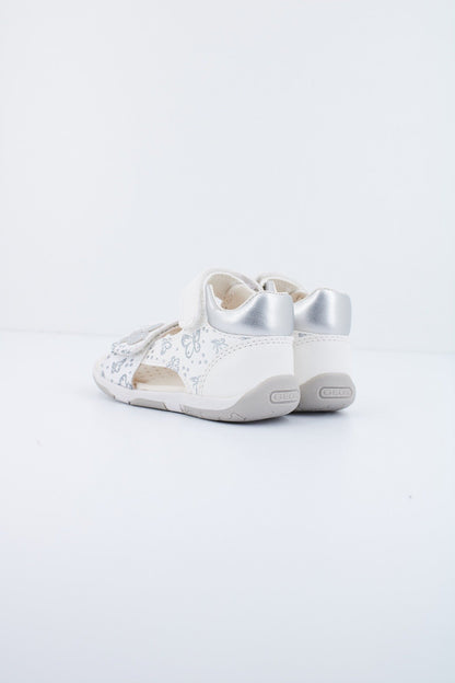 GEOX B S. TAPUZ G.C en color C  (3)