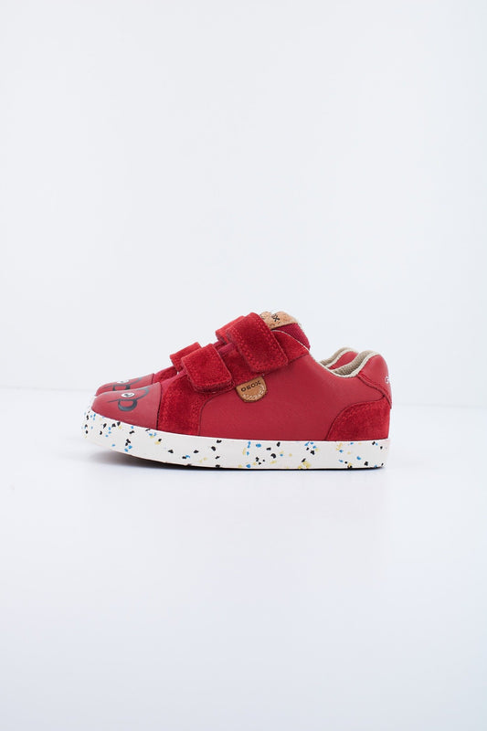 GEOX B.C NAPPA + SUEDE en color C  (1)