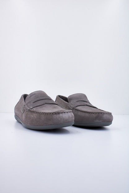 GEOX U ASCANIO en color C  (2)