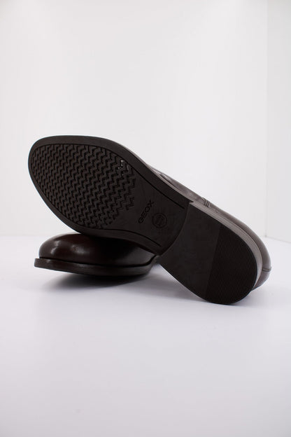 GEOX U HAMPSTEAD en color C  (5)