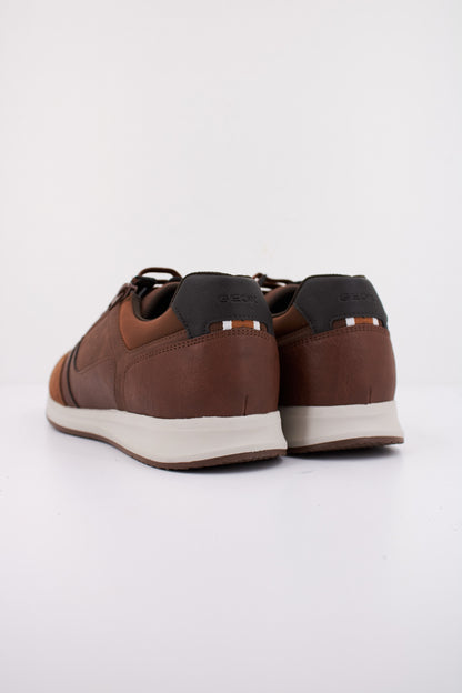 GEOX EKPT U AVERY en color C  (4)