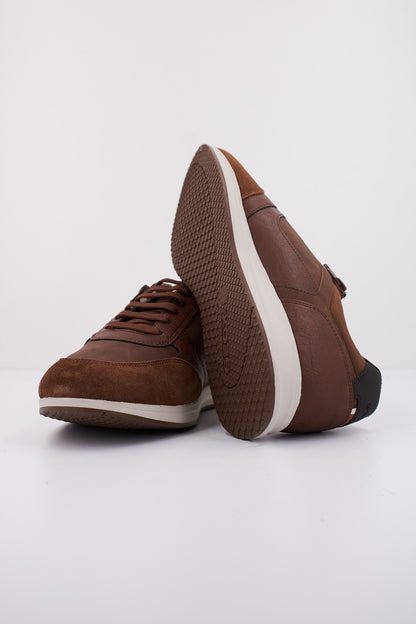 GEOX EKPT U AVERY en color C  (5)