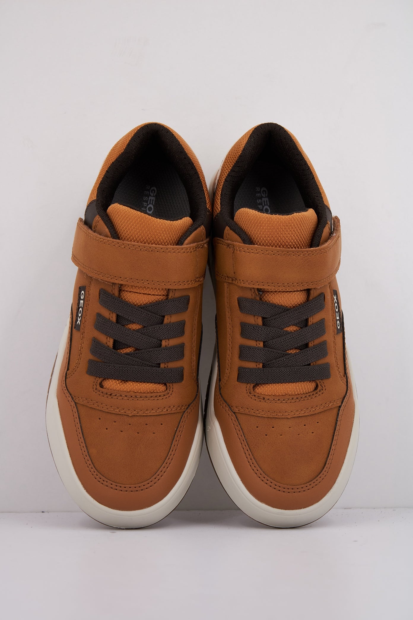 GEOX  en color C  (3)