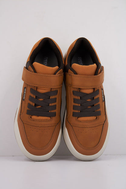 GEOX  en color C  (3)