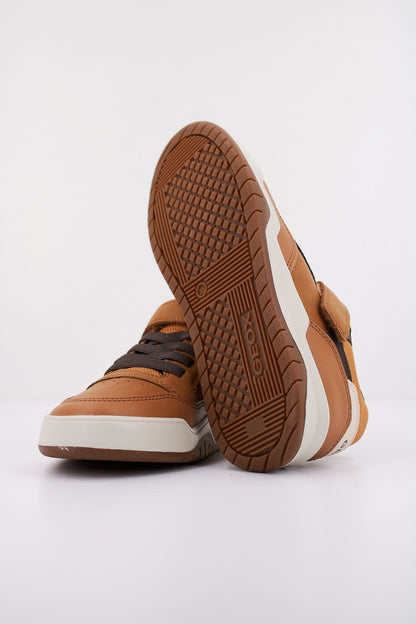 GEOX  en color C  (5)