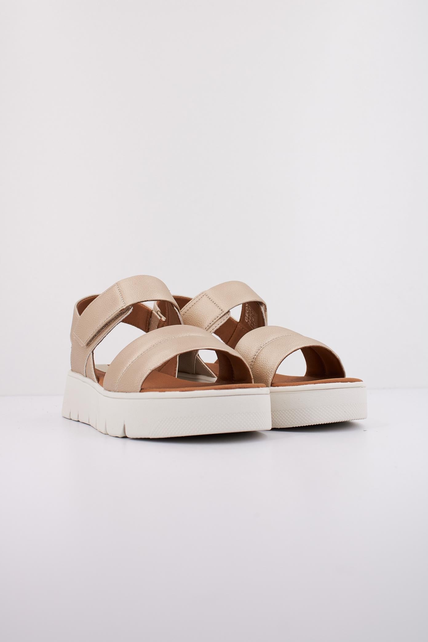 GEOX D DANDRA  en color C  (2)