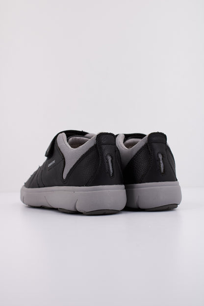 GEOX  J NEBCUP BOY en color C  (4)