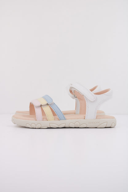 GEOX  en color C  (1)