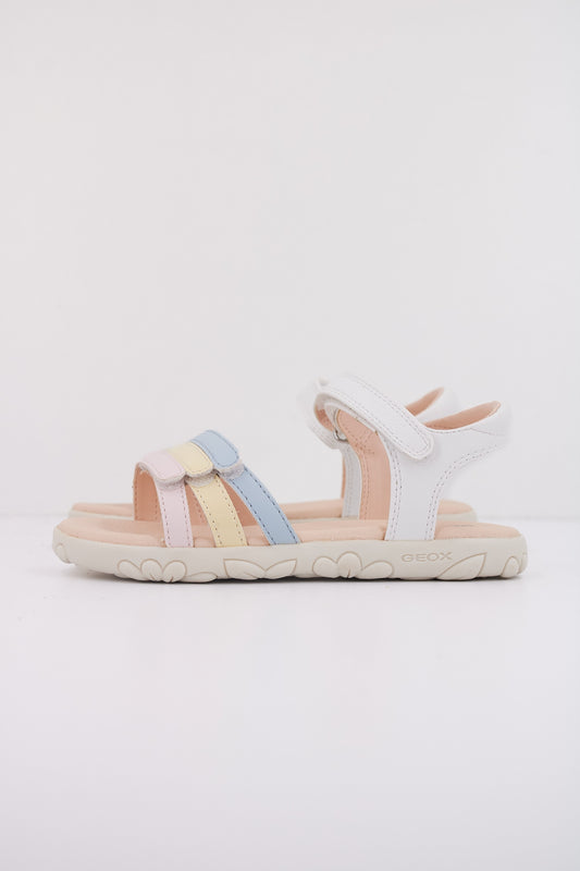 GEOX  en color C  (1)