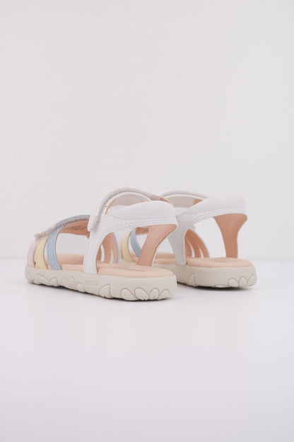 GEOX  en color C  (4)