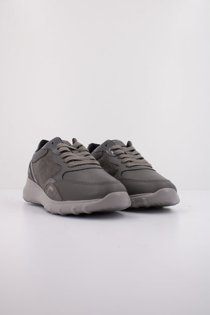 GEOX D ALLENIEE en color C  (2)