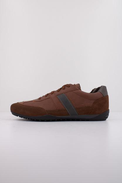 GEOX U WELLS en color C  (1)