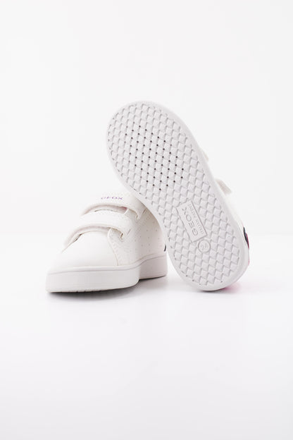 GEOX BMA BCKC en color C  (5)