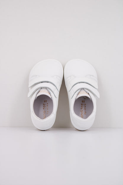 BLANDITOS LONDRESBD en color BCO  (3)