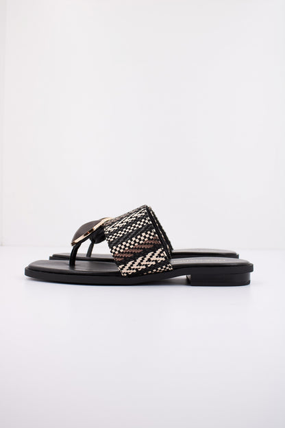 NOA HARMON N en color MLTMRRN  (1)