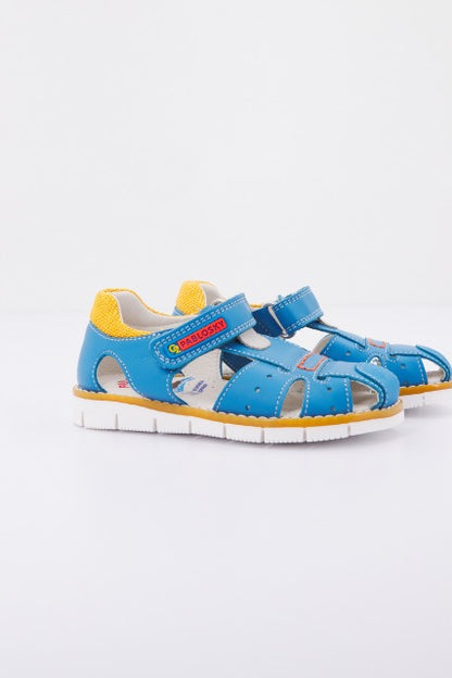 PABLOSKY P en color AZAFATA  (1)