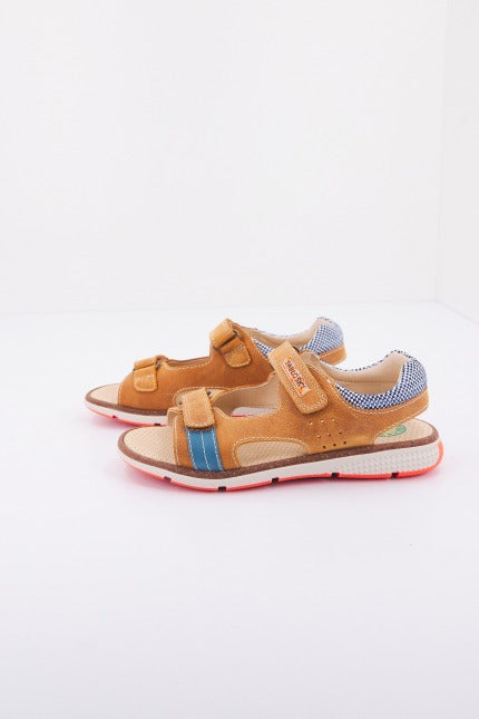 PABLOSKY P en color GIRASOLE  (2)