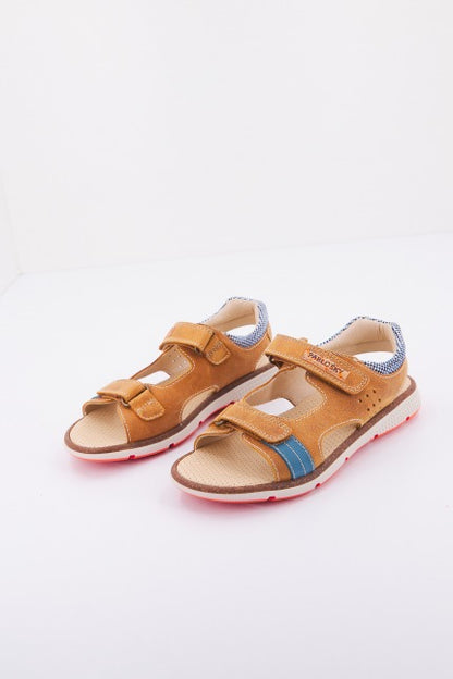 PABLOSKY P en color GIRASOLE  (3)