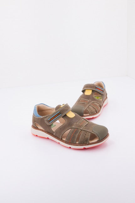 PABLOSKY P  en color SALVIA  (1)