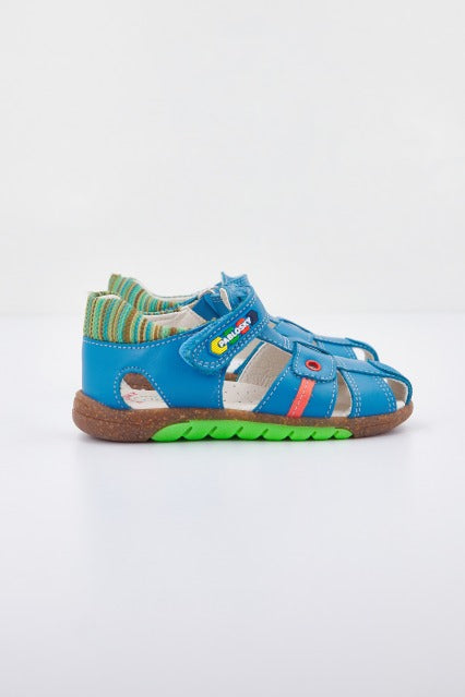 PABLOSKY P  en color AZAFATA  (2)