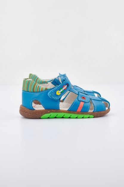 PABLOSKY P  en color AZAFATA  (2)