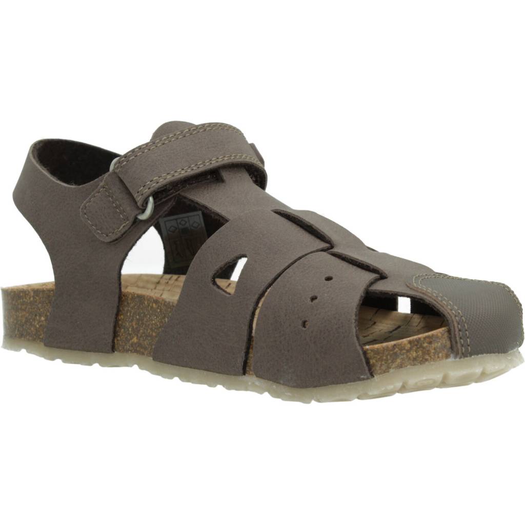 PABLOSKY P  en color SEPIA  (5)