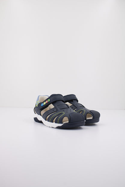 PABLOSKY P en color MDTRRN  (2)