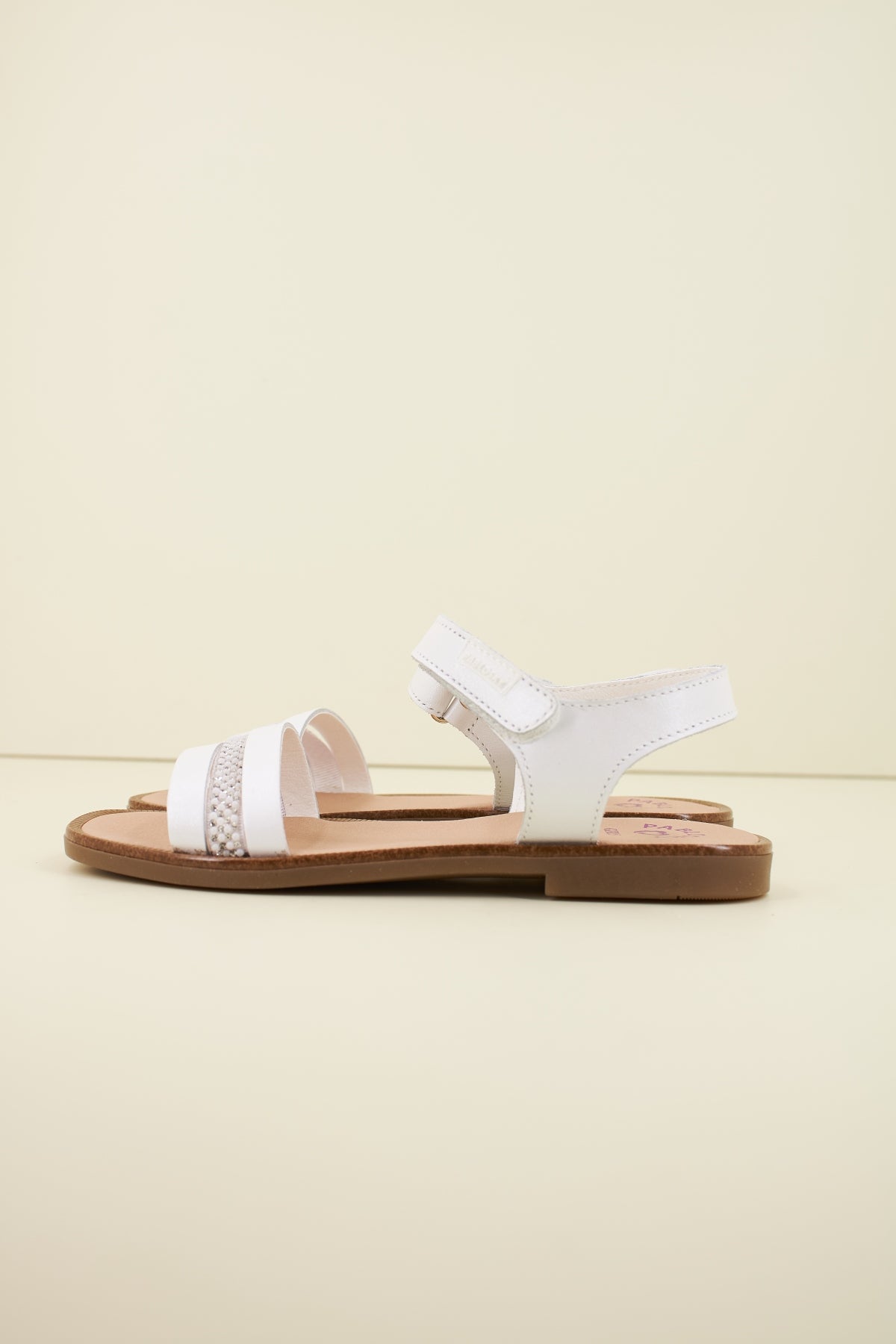 PABLOSKY P en color NACAR  (1)