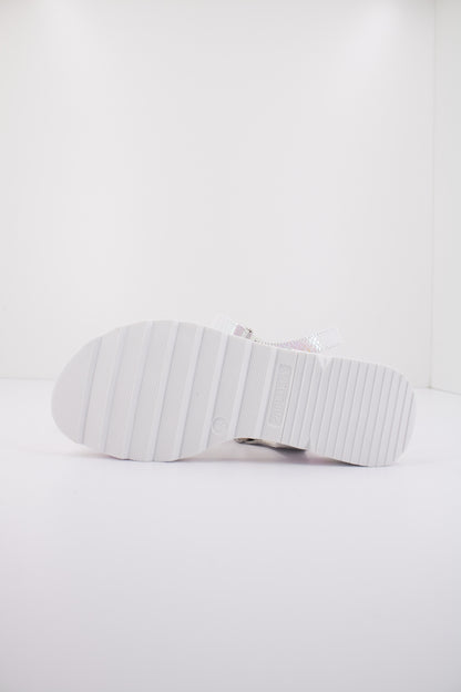 PABLOSKY P  en color KANSAS  (4)